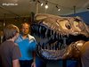 T-Rex (...rechts:))