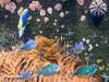 Seewasseraquarium