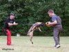 Känguru unter schwarzer Flagge