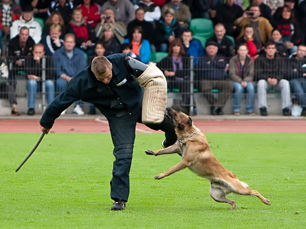 _MG_8775.jpg