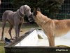 Das ist MEIN Wasser...!!!