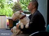 auch Henry ist Schoßhund