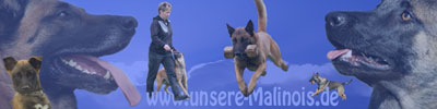 Bazu unter schwarzer Flagge