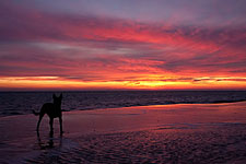 Texel