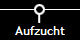 Aufzucht