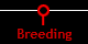 Breeding