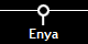 Enya