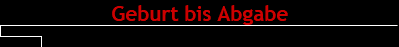 Geburt bis Abgabe