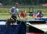 K9 Diensthund-Biathlon
