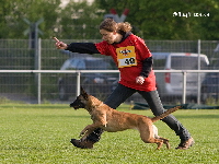 Championat 2010