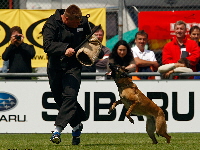 Championat 2009 Foto: Pics4dogs