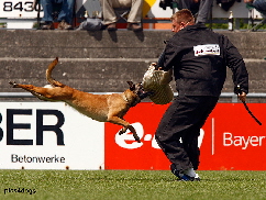 Championat 2009