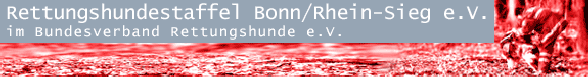 Maddy's RH-Staffel