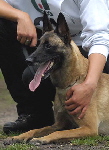 Foto: Kurt Buffel
