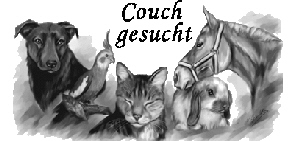 Couch gesucht