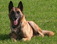 Erna