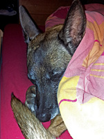 Enya:) Enya:)