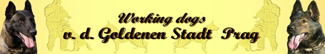 von der goldenen Stadt Prag