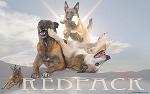 Redpack - Karin & Pascal