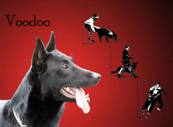 Voodoo & Agini v.Wehebach
